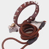 A brown leather collar and leash kit featuring studs and spikes for leather craft.