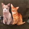 Two domestic cats, one gray and one orange tabby, sitting on a dark couch.
