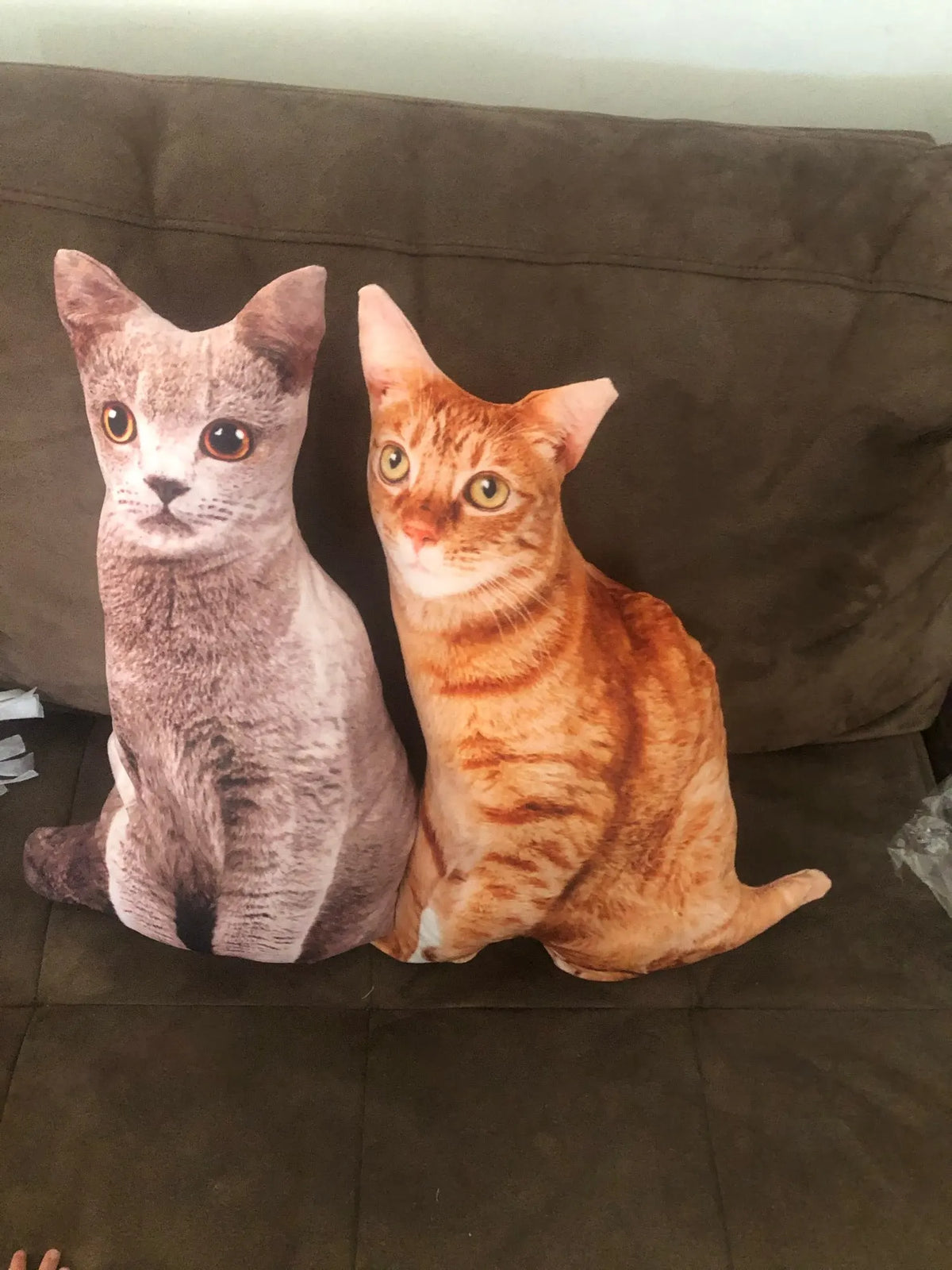 Two domestic cats, one gray and one orange tabby, sitting on a dark couch.