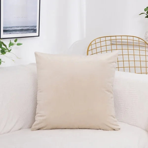 A beige velvet decorative cushion cover resting on a white sofa next to a gold wire chair and framed artwork.