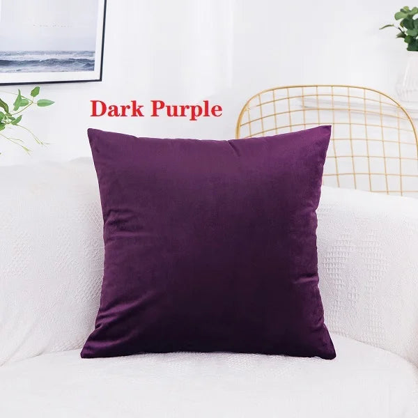 A dark purple velvet decorative cushion cover resting on a white sofa.