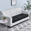A white sofa with black seat cushions sits on a rug next to a potted plant.