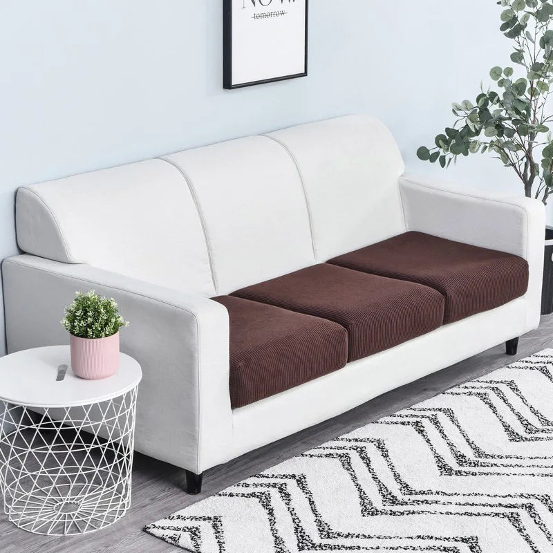A white sofa with a dark brown seat cushion cover and a potted plant in front of it.