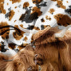 A close-up of two Highland cows with brown and black spotted fur against a white background.