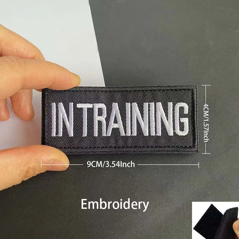 A black embroidered patch with the text IN TRAINING is being held by a hand against a dark background.