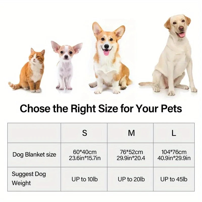 A row of four dogs and cats of varying sizes demonstrating the appropriate blanket sizes for pets.