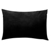 A black velvet throw pillow cover.