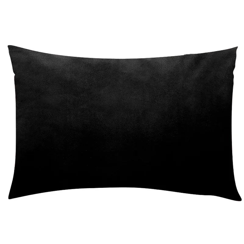 A black velvet throw pillow cover.