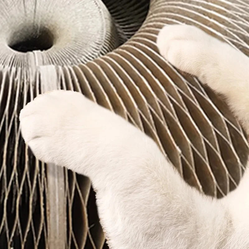 A white cat paw rests on a textured, cylindrical scratching board made of natural fibers.