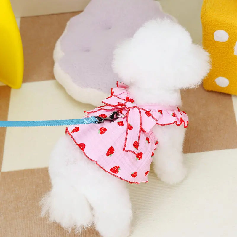 A white fluffy dog dress with a pink strawberry print bow and blue ribbon