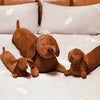 Three small brown corduroy dachshund plush toys lying on a white bedding surface.