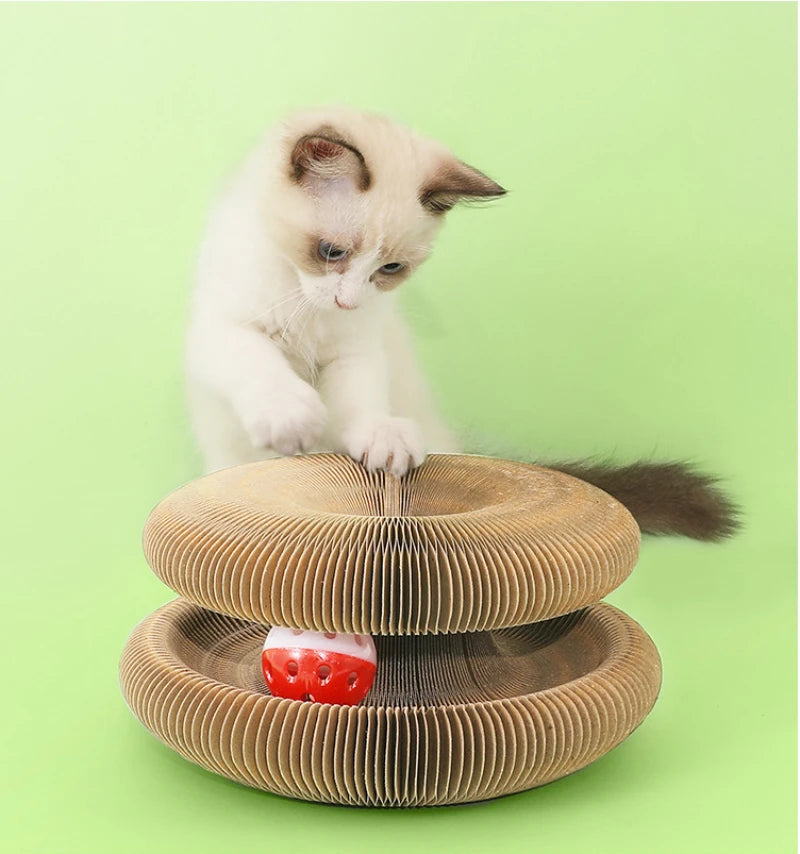 A small white kitten sits next to a round, textured cardboard cat scratching board set.
