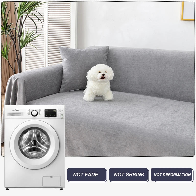 A gray waterproof sofa cover blanket is shown draped over a sofa next to a white washing machine and a small white dog.