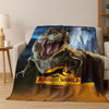A blanket featuring a large, realistic depiction of a Tyrannosaurus Rex head on a dark background.