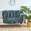 A dark teal shaggy blanket draped over a light sofa next to a potted palm plant.