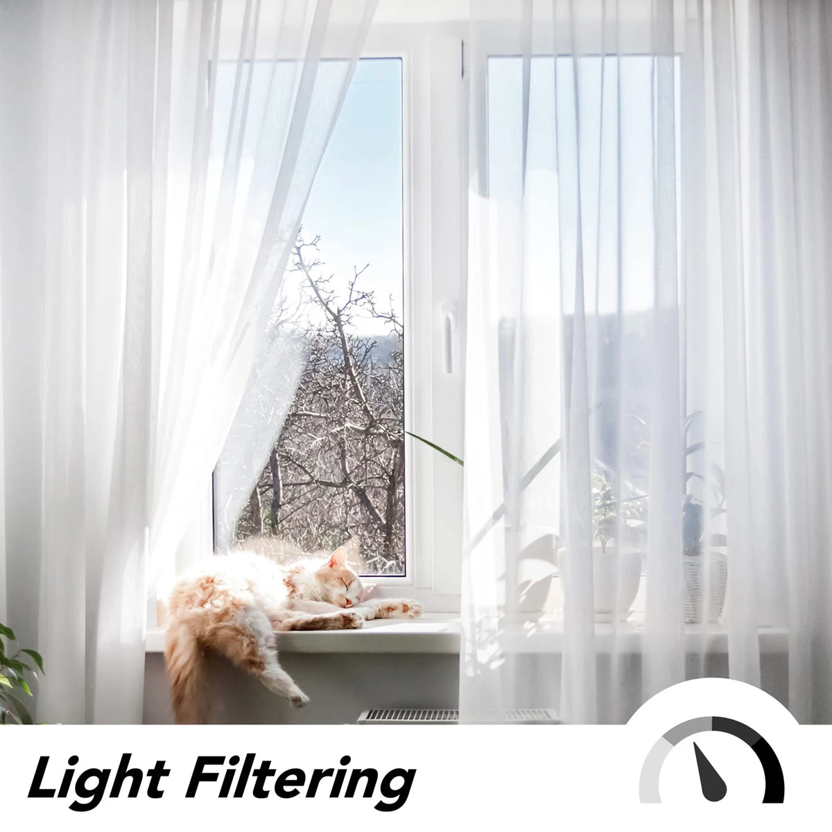 White sheer tulle curtains filter natural light through a window, illuminating a cat resting nearby.