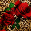 A vibrant red rose is placed on a leopard print fabric background.