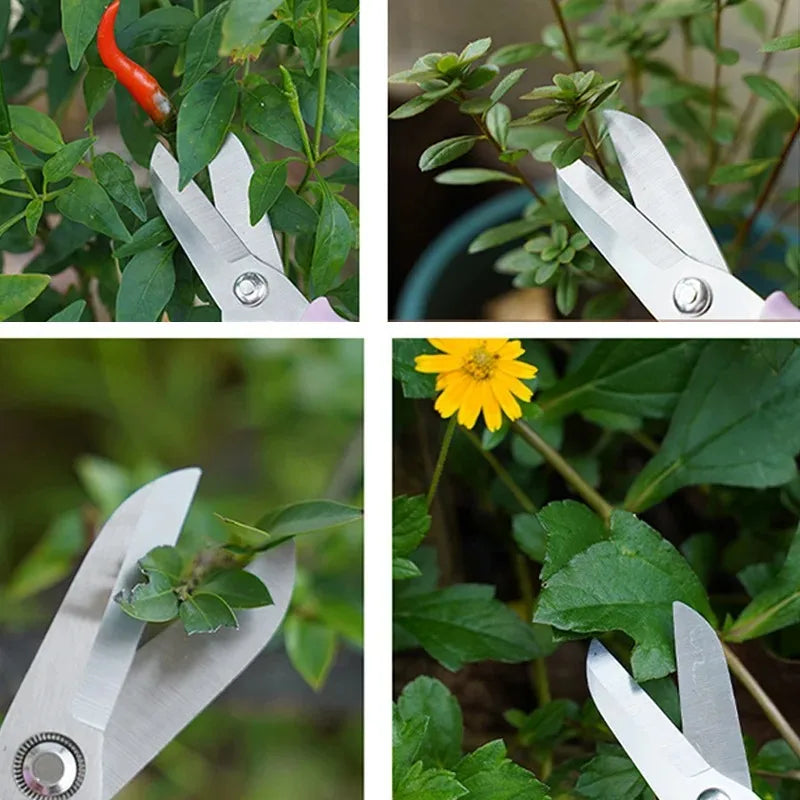 Silver precision shears with comfort grip used to prune a plant and cut a flower.