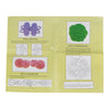 A sheet of green paper showing instructions for making a spiral loop frog and a Celtic stonework knot.