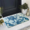 A fluffy blue and white faux fur area rug placed in front of a dark door with potted greenery.