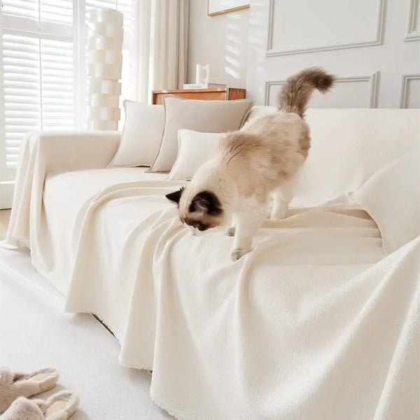 A fluffy ginger and white cat sits on a white sofa cover in a bright, well-lit room.