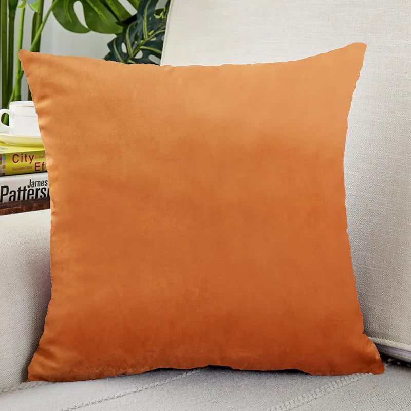 A square, burnt orange velvet cushion cover resting on a light-colored sofa.
