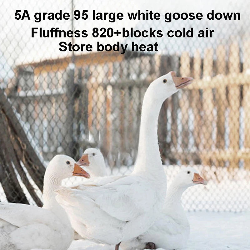 A group of white geese standing in a snowy outdoor setting.