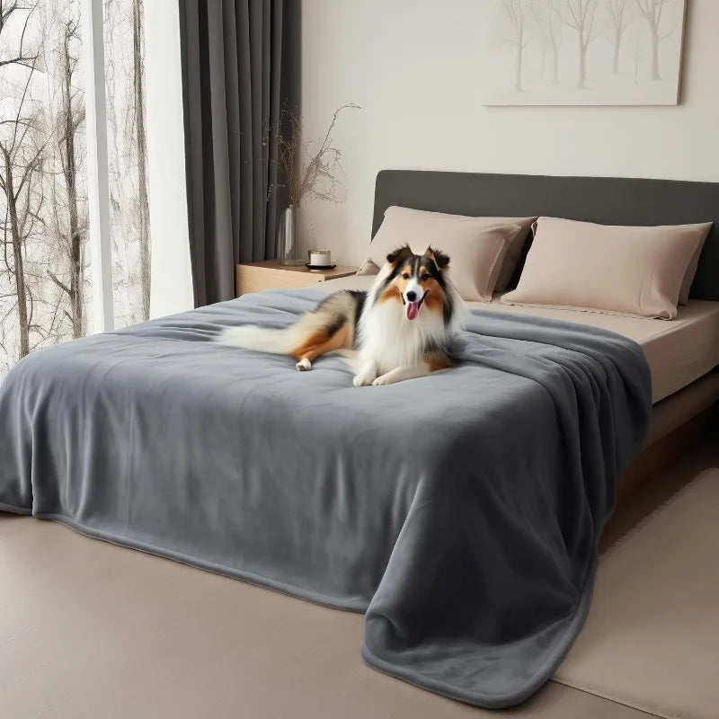 A gray flannel blanket is draped over a bed, with a dog resting on it in a bright room.
