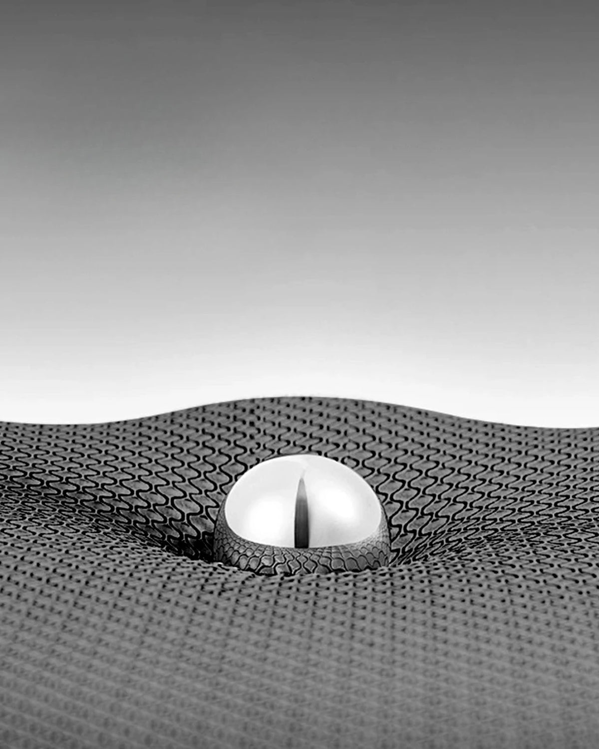 Close-up view of a silver metal object embedded in a dark, textured non-slip door mat.