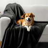 A golden-colored dog is resting on a dark gray flannel blanket draped over a white sofa.