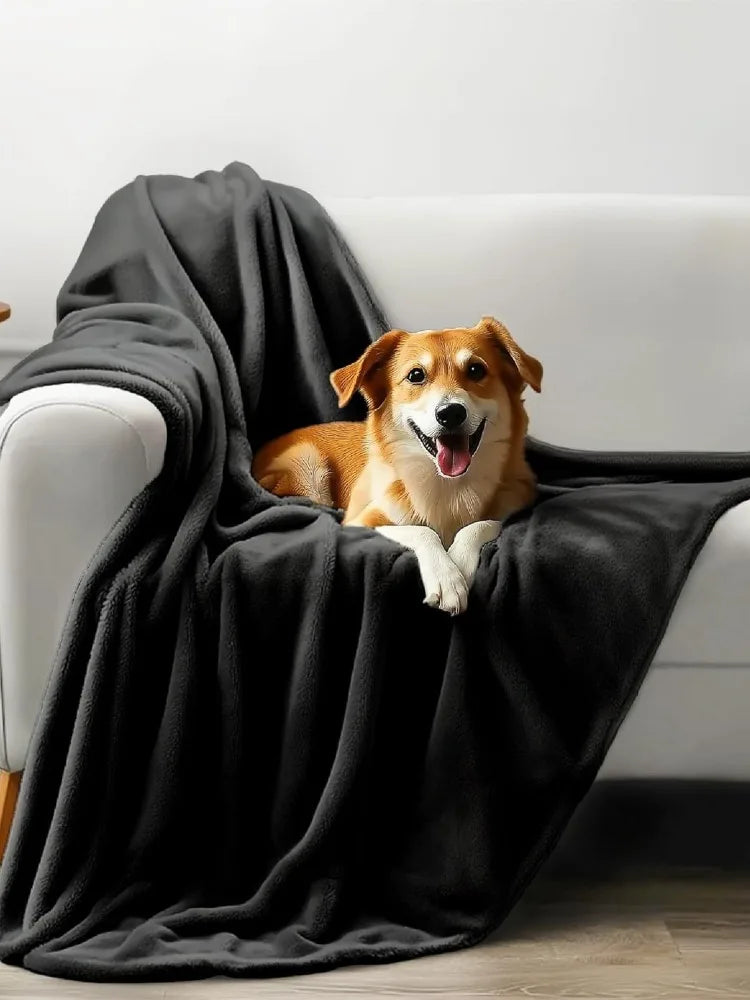 A golden-colored dog is resting on a dark gray flannel blanket draped over a white sofa.