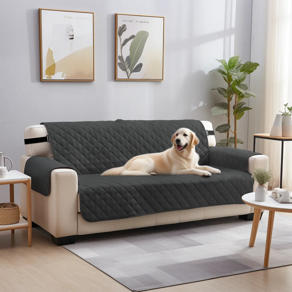 A modern gray sofa with a dark slipcover and light beige upholstery sits in a bright living room.