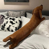 A long, brown corduroy dachshund body pillow resting on a white bed with pillows.