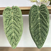 Two green plant design hand towels with textured leaves displayed on a wooden shelf.