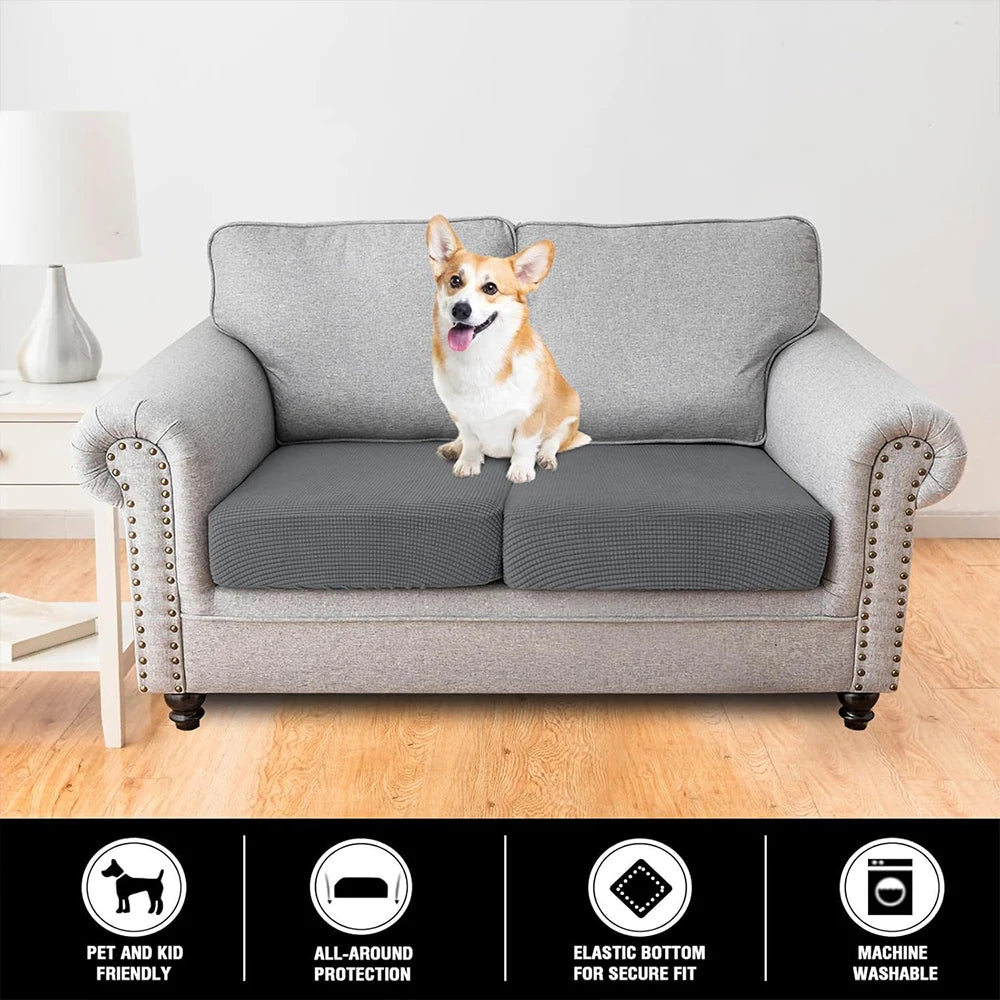 Gray sofa seat cushion cover with a dog sitting on it, showing all-around protection and elastic bottom for a secure fit