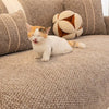 A small orange and white cat is lying on a textured gray sofa cushion surrounded by patterned pillows.