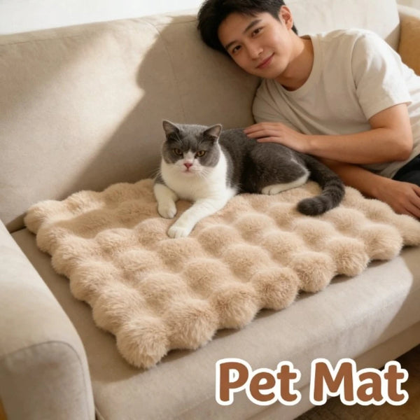 A domestic cat is relaxing on a fluffy beige pet mat on a light-colored sofa.
