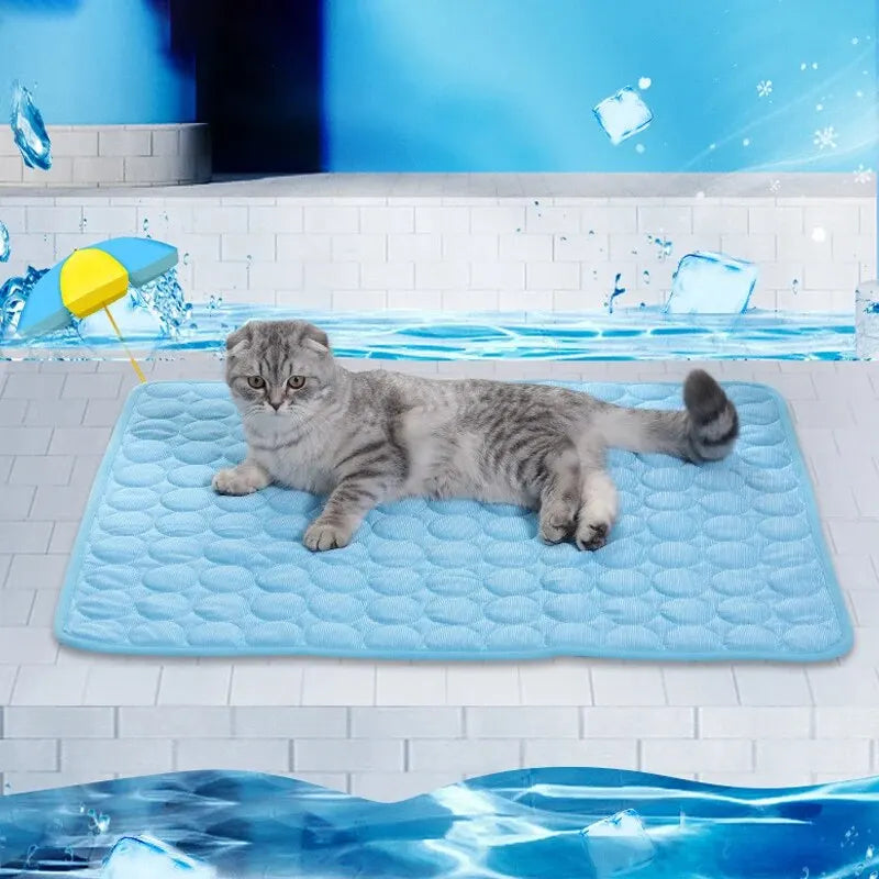 A gray cat relaxing on a blue cooling ice mat in front of an icy blue background.