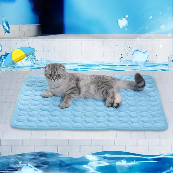 A gray cat relaxing on a blue cooling ice mat in front of an icy blue background.