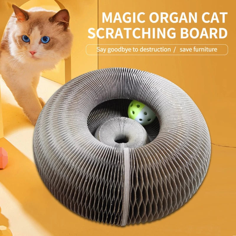 A gray, circular cat scratching board with a green ball inside, positioned next to a fluffy orange cat.