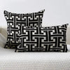 Black and white geometric patterned throw pillows resting on a white textured surface.