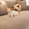 A small orange and white cat is lying on a textured beige sofa cushion surrounded by patterned pillows.