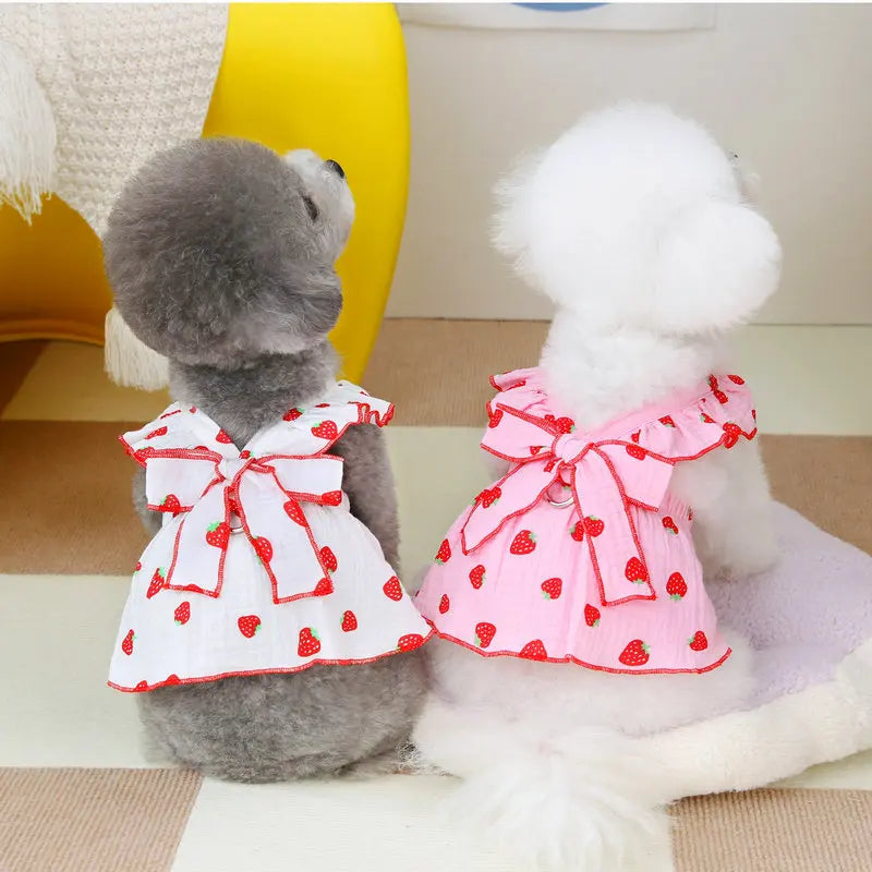 A fluffy gray dog wearing a pink strawberry print dress sits next to a white fluffy dog.