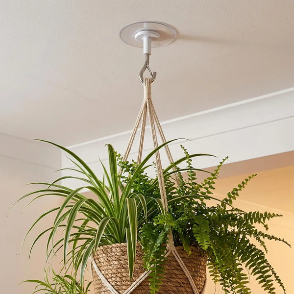 A hanging planter with lush green foliage suspended by a natural fiber rope and hooks.