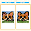 Before and after comparison of a dog face craft showing the transformation of fur texture.