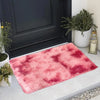 A rectangular pink and red patterned area rug placed on a light gray floor next to a dark door and potted greenery.