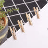 A collection of mini wooden clothespins with jute twine arranged on a white surface next to a potted plant.