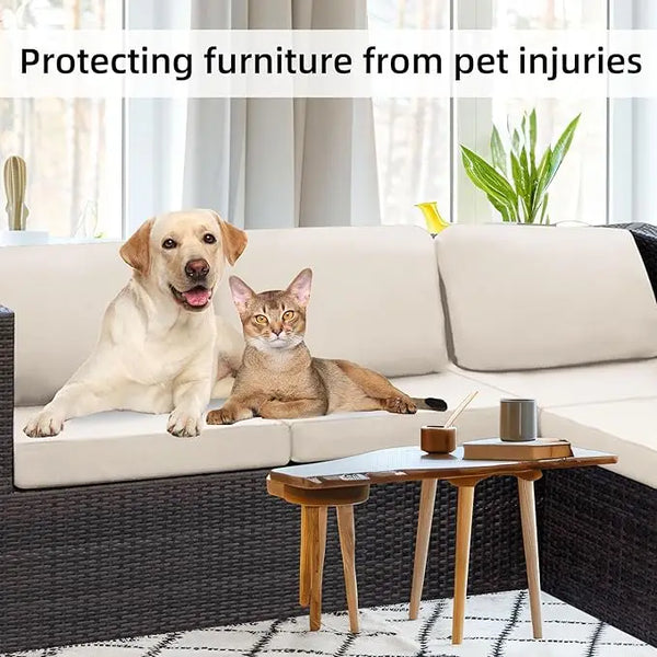 A golden retriever and a tabby cat are relaxing on a light-colored sofa, demonstrating protection for furniture from pet inju