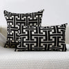Black and white geometric patterned throw pillows resting on a light gray textured surface.