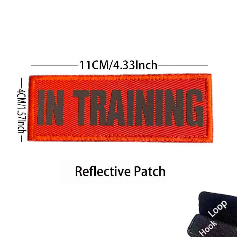 Orange reflective patch embroidered with the text IN TRAINING